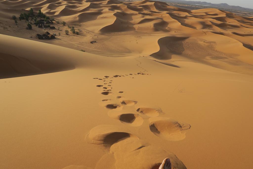 מלון מרזאוגה Sahara Tours Luxury Camp מראה חיצוני תמונה